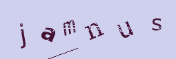 Captcha Image: you will need to recognize the text in it.