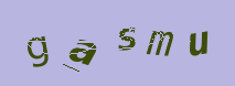 Captcha Image: you will need to recognize the text in it.
