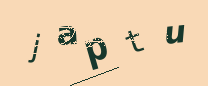 Captcha Image: you will need to recognize the text in it.